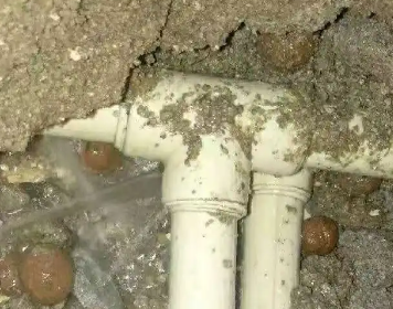 武陵测漏水多少钱