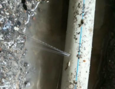 武陵测漏水哪家好