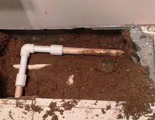 武陵测漏水哪家好