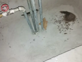 武陵卫生间测漏水价格明细